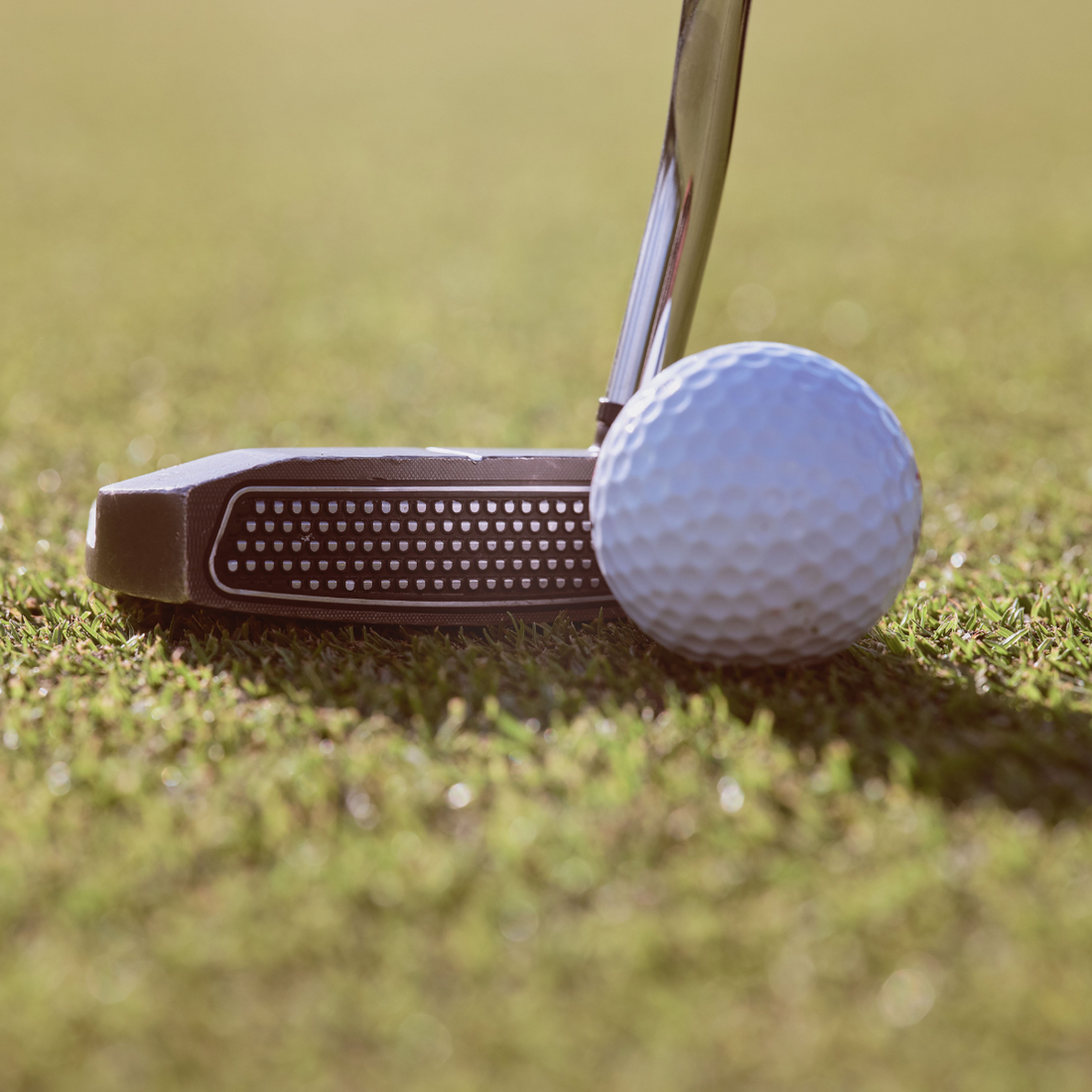 Par Par Birdies